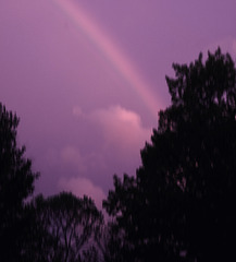 DSCF4751