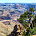 Colorado River