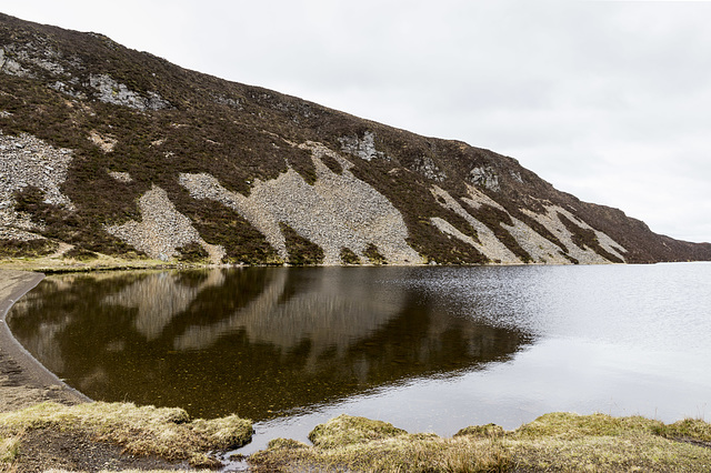 Reflecting on Loch na Meilich
