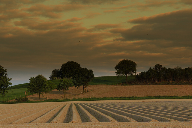 The first hill after the flat land