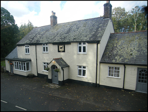 The Black Dog at Stokeford