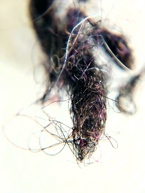 Macro Mondays: Thema "Fussel" Macro Mondays: Thema "Fussel"