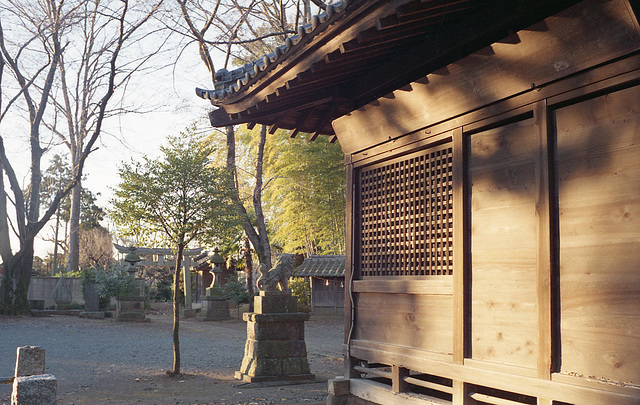 Shrine's area