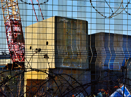All along the long fence