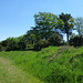 DE - Virneburg - Auf dem Traumpfad Virneburgweg