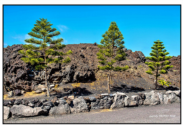 Lava Landschaft