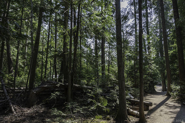 beim Parkplatz der Spahats Creek Falls ...  P.i.P.  (© Buelipix)