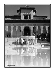 Patio de los leones