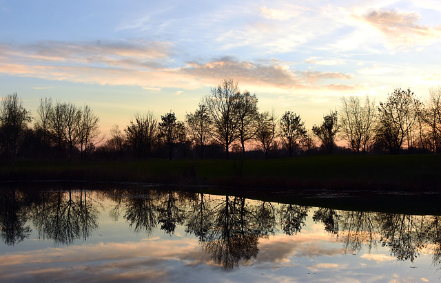 Spiegelung im Weiher