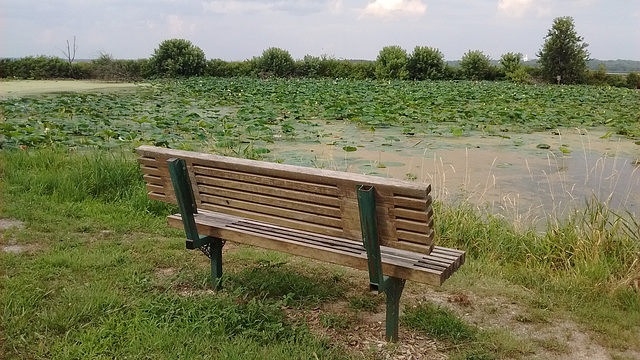 Banc de contemplation