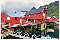 Red at A i Lofoten