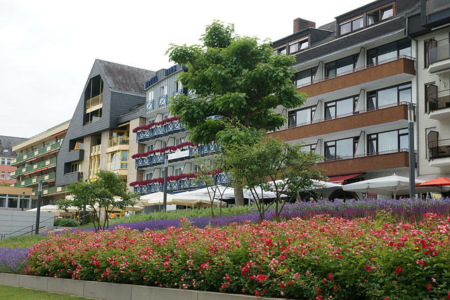 Flowers On The Koblenz Waterfront