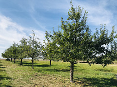 Leitast rechts steht zu tief