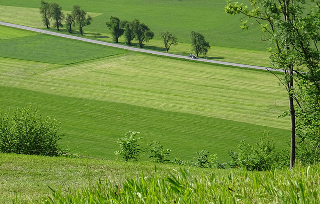 Röns Österreich