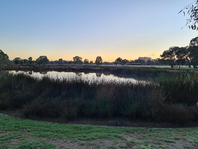 Winter wetland early