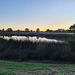 Winter wetland early