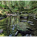 Monbachtal