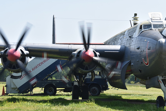 sergammay272023 (1195)