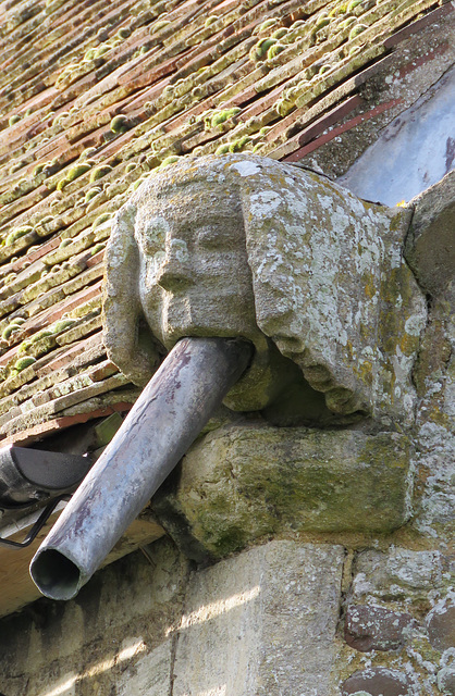 bluntisham church, hunts