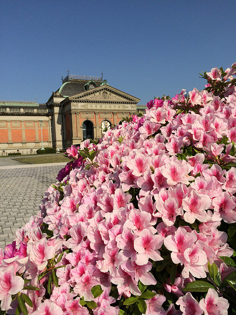 Kyoto National Museum - Special Exhibition Hall