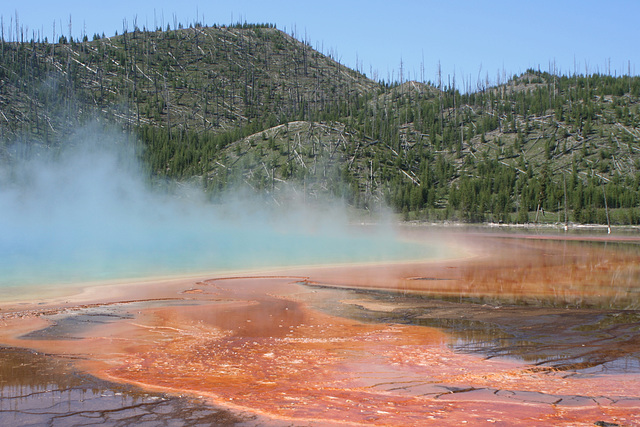 Grand Prismatic Spring