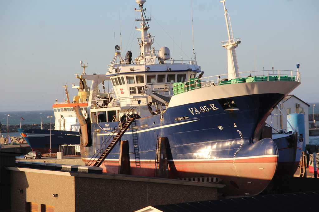 im Fischereihafen Hirtshals