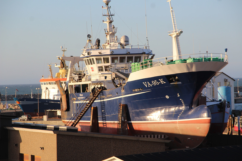 im Fischereihafen Hirtshals