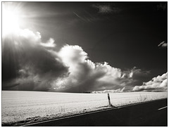 Spätwinter in "de Hinnerpalz"