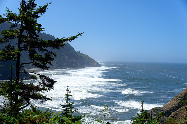 View from Hecate Light House