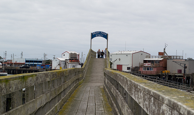 Westport WA boardwalk (#1378)