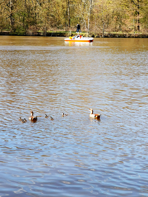 Familienausflug