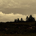 20250601_Wanderung Elbingerode-Weinbergblick und zurück