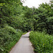 Mintarder Dorfstraße (Mülheim-Mintard) / 5.07.2025 Mintarder Dorfstraße (Mülheim-Mintard) / 5.07.2025