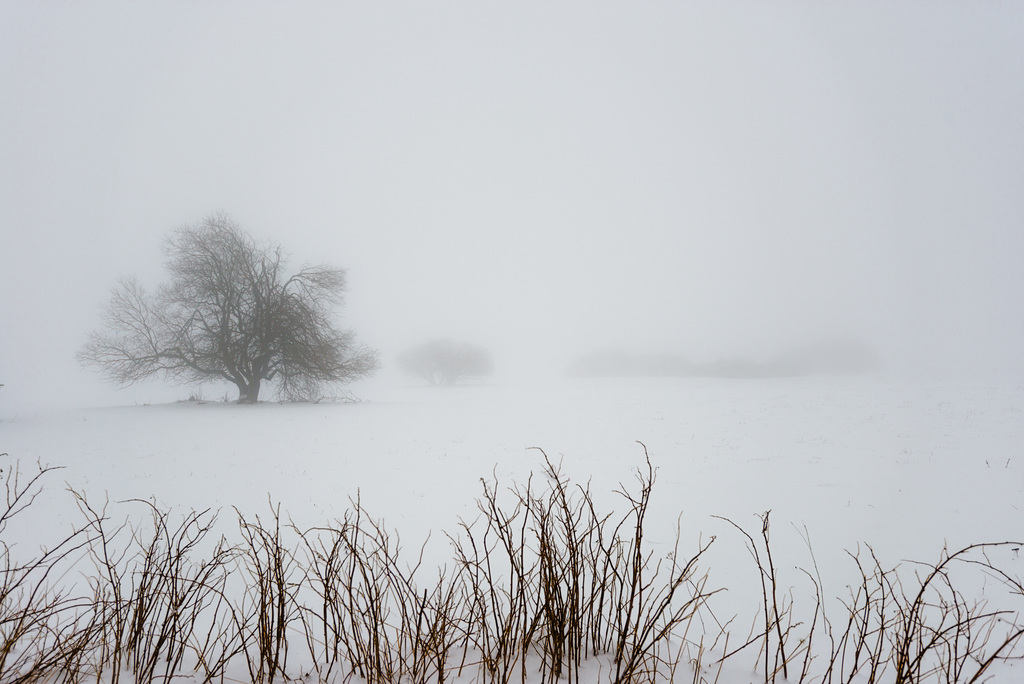 Winternebel - 20150101