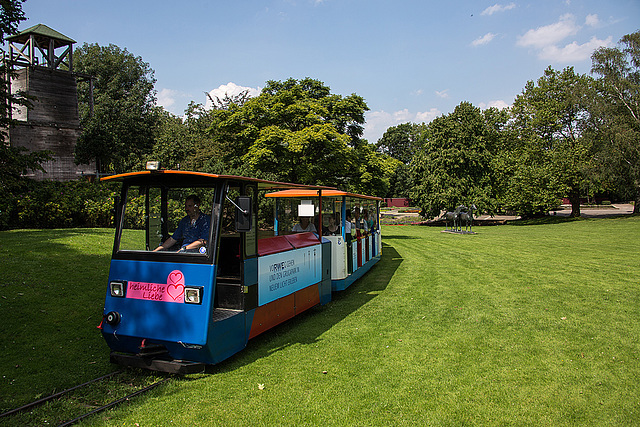 20140801 4534VRAw [D~E] Parkbahn, Gruga-Park, Essen