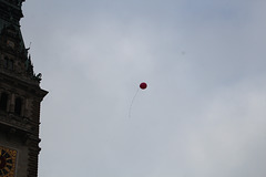 IMG 5284
