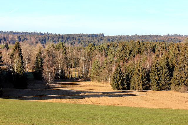 Reichermoos zwischen Waldburg und Vogt