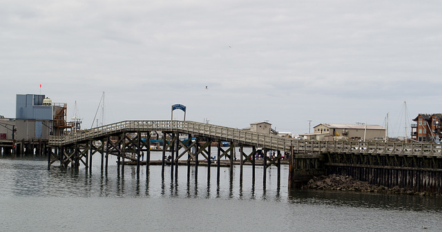 Westport WA boardwalk (#1379)