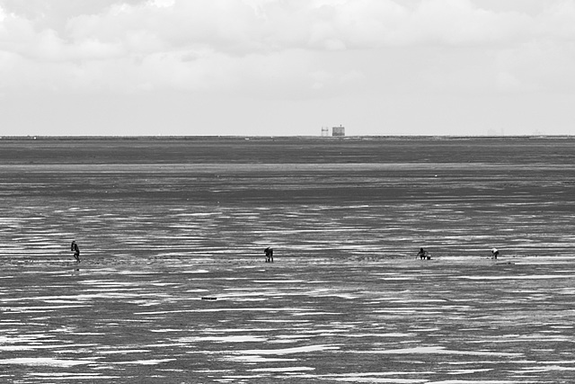 Fort Boyard and clam hunters