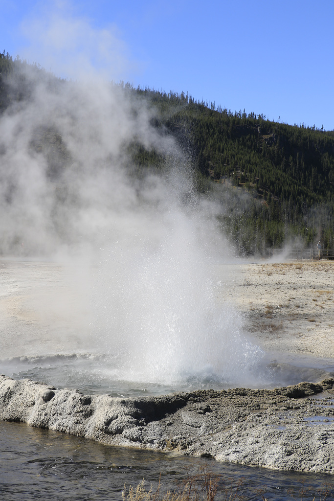 Cliff Geyser, Black Sand Basin