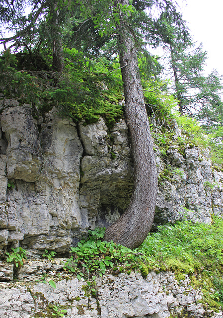 an der Mauer