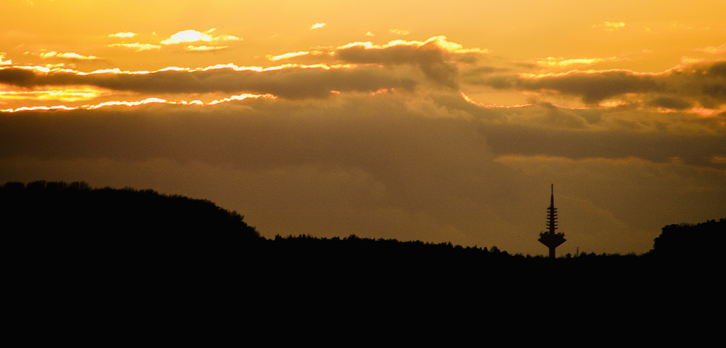 Abendlicht