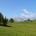 Armentara Wiesen - La Val, Gadertal, (3 PicinPic -Alpenblumen)