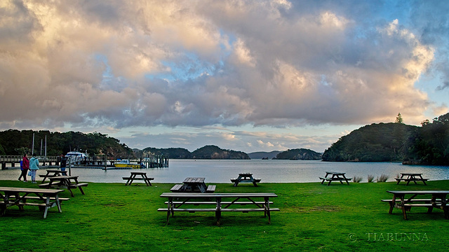 Bay of Islands benches