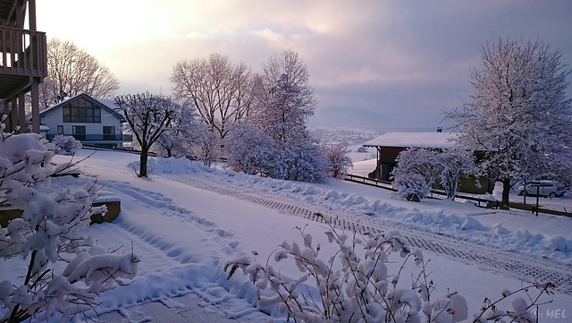 Der Zaun im Winter