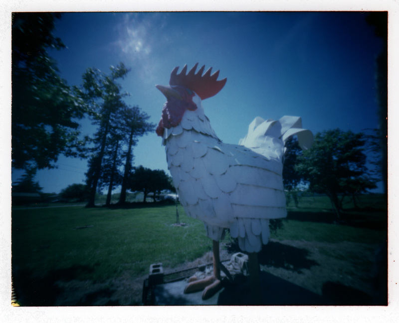 McCoy Chicken