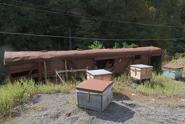 Beehives and a rusty train carriage