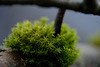 DSCF1719