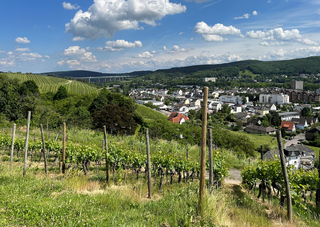 Blick aus den Weinbergen auf Bad Neuenahr