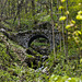 The old stone bridge near to Riabella